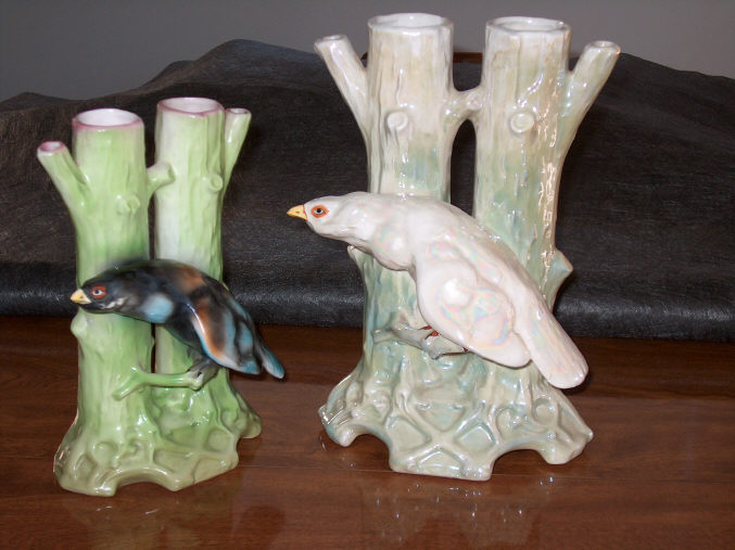 birds